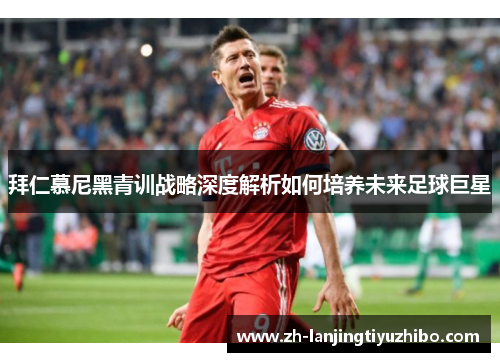 拜仁慕尼黑青训战略深度解析如何培养未来足球巨星